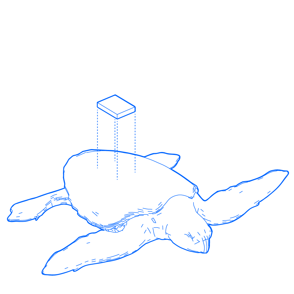 Line drawing of a turtle with a tracker